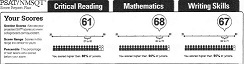 PSAT Scores 4
